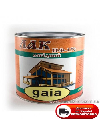 Лак ПФ-170 для дерева атмосферостійкий (2кг), фото, купить Киев, Gaia-lkz